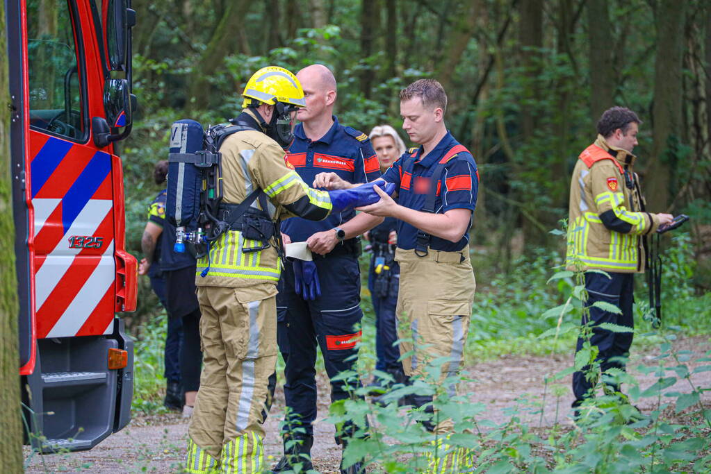 Tientalen vaten in bosgebied aangetroffen
