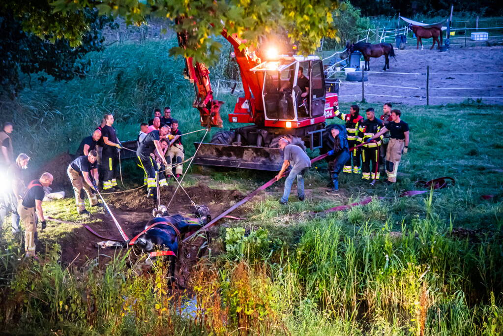 Brandweer uren bezig met paard in sloot