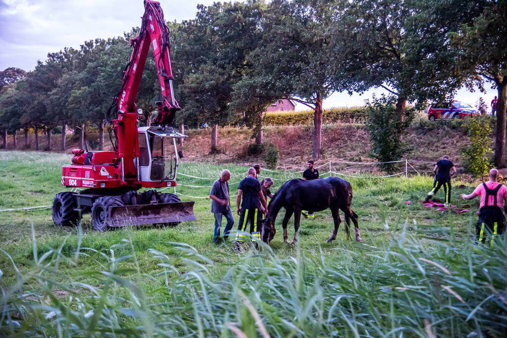Brandweer uren bezig met paard in sloot