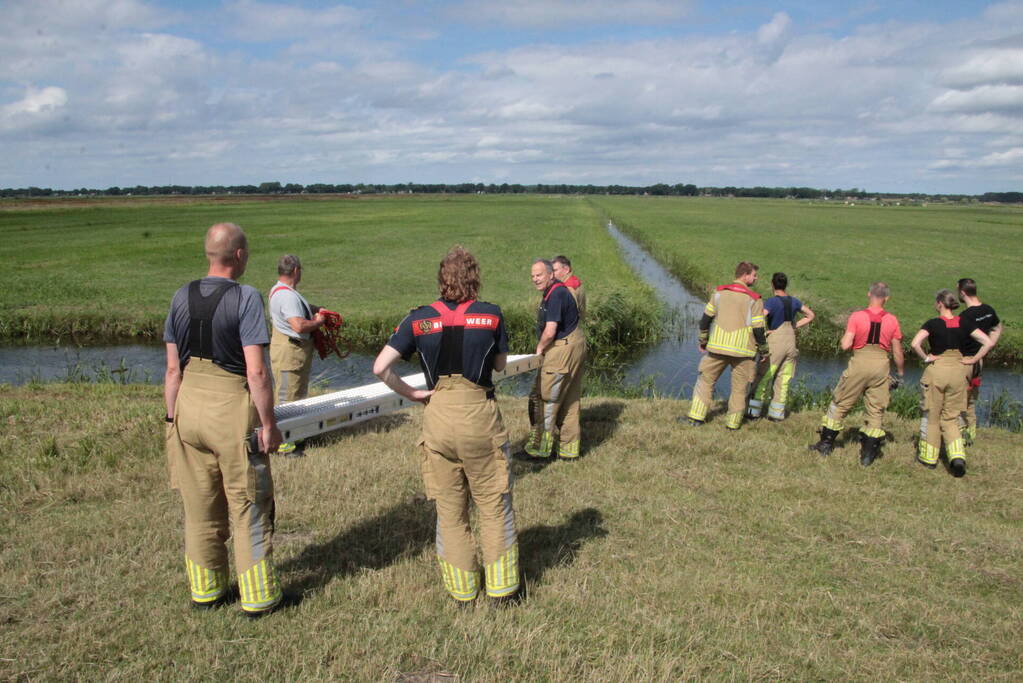 Brandweer ingezet voor koe in een sloot