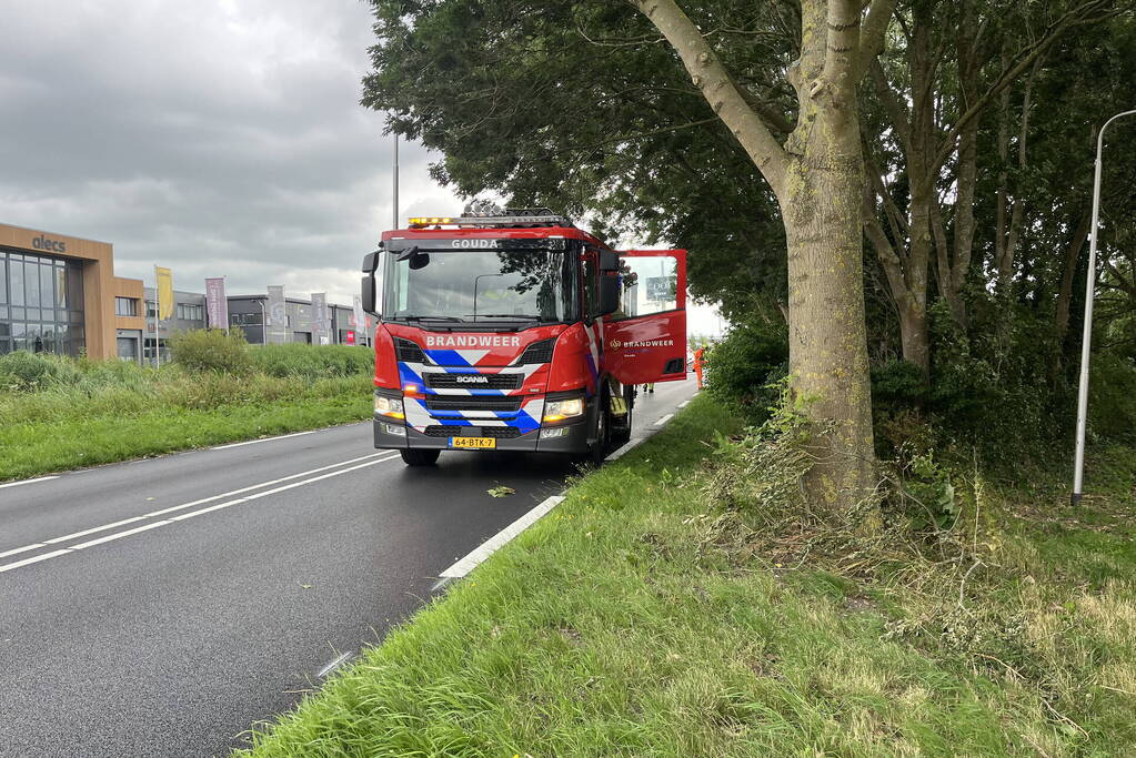 Grote tak dreigt op weg te vallen