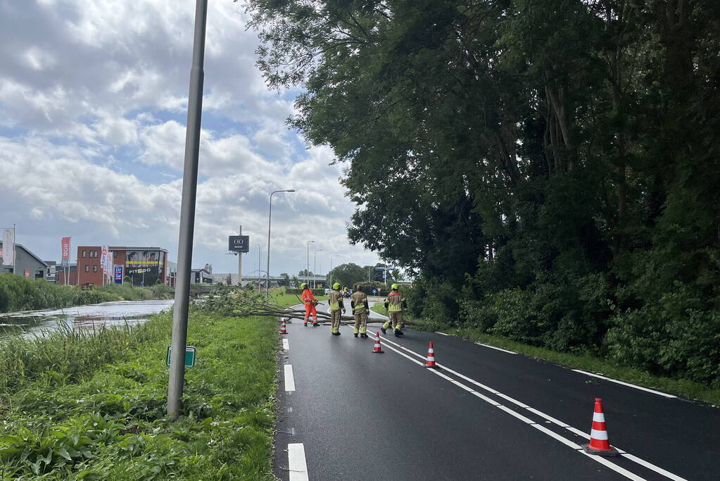 Grote tak dreigt op weg te vallen