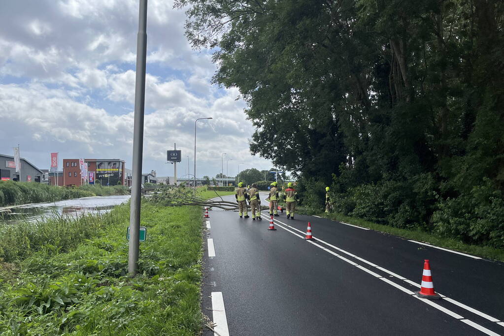 Grote tak dreigt op weg te vallen