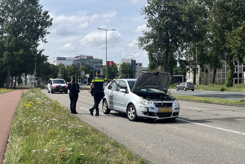 Automobilist raakt van de weg en ramt verkeersbord