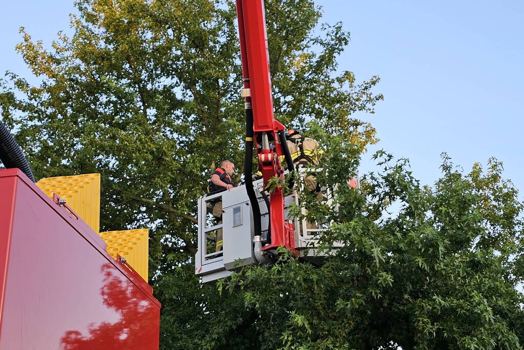 Gevaarlijk hangende tak dreigt te vallen