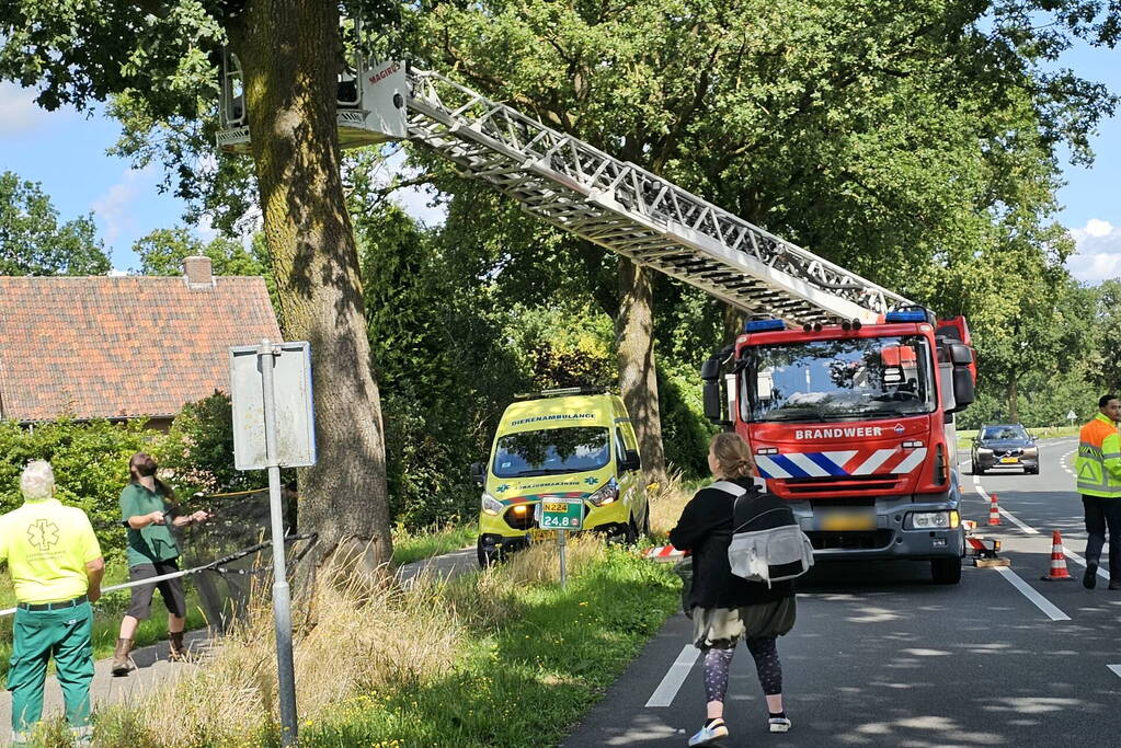 Kat springt uit boom tijdens reddingsactie van brandweer
