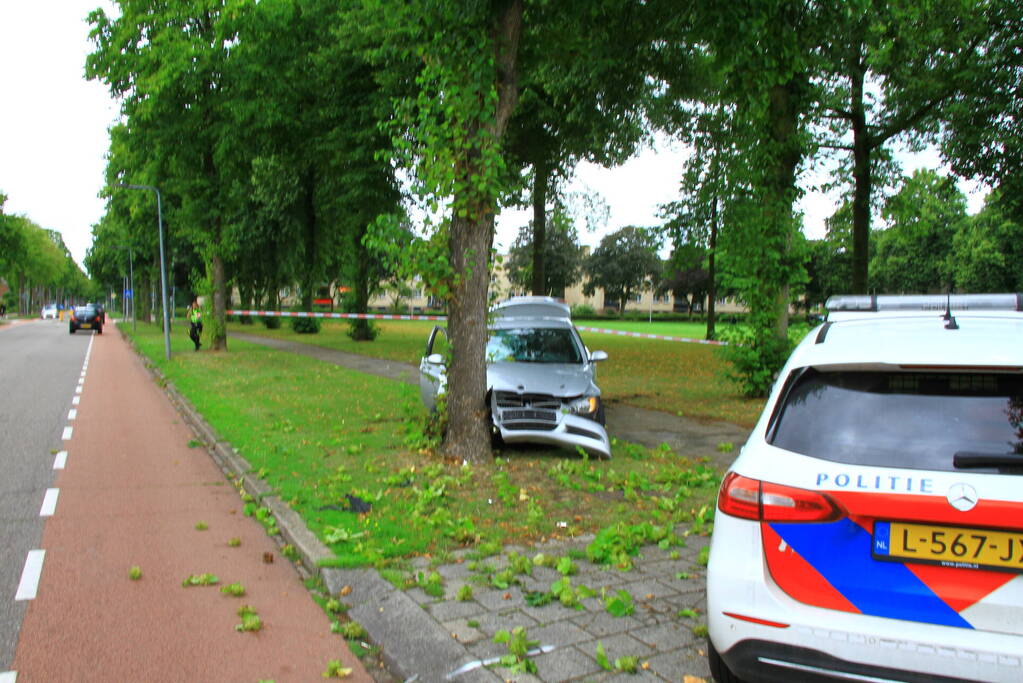 Auto botst frontaal tegen boom, bestuurder spoorloos
