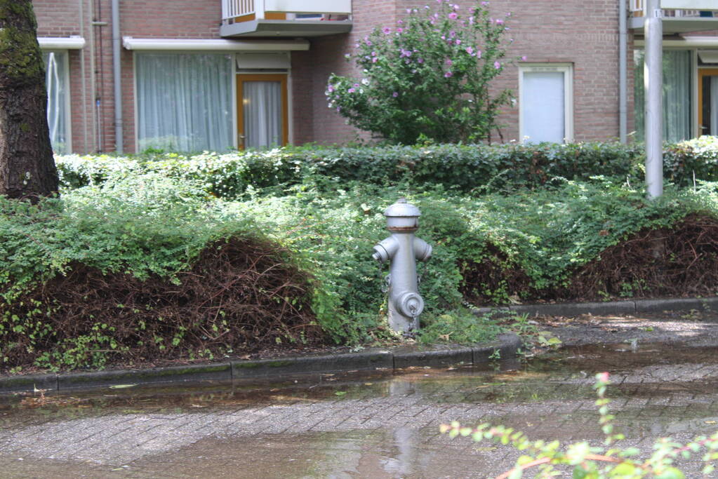 Straat blank na aanrijding met brandkraan