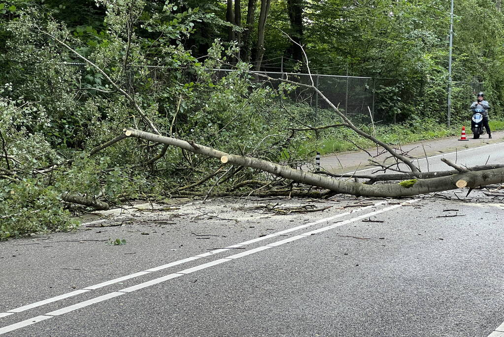 Omgevallen boom blokkeert de weg