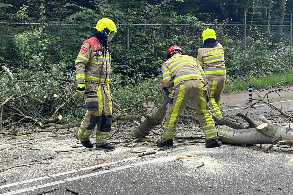 Omgevallen boom blokkeert de weg