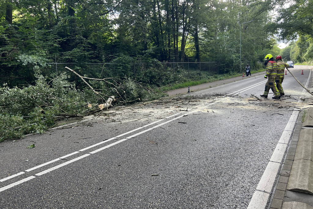 Omgevallen boom blokkeert de weg