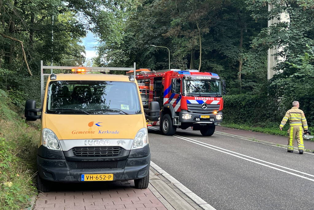 Omgevallen boom blokkeert de weg