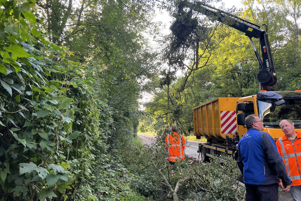Omgevallen boom blokkeert de weg