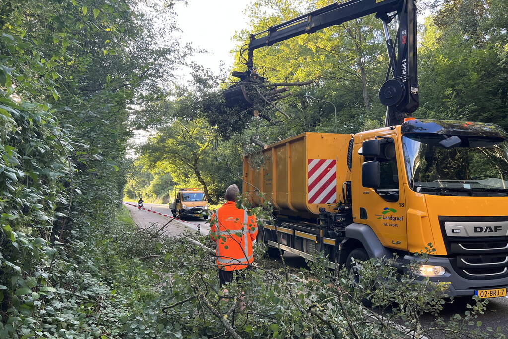Omgevallen boom blokkeert de weg