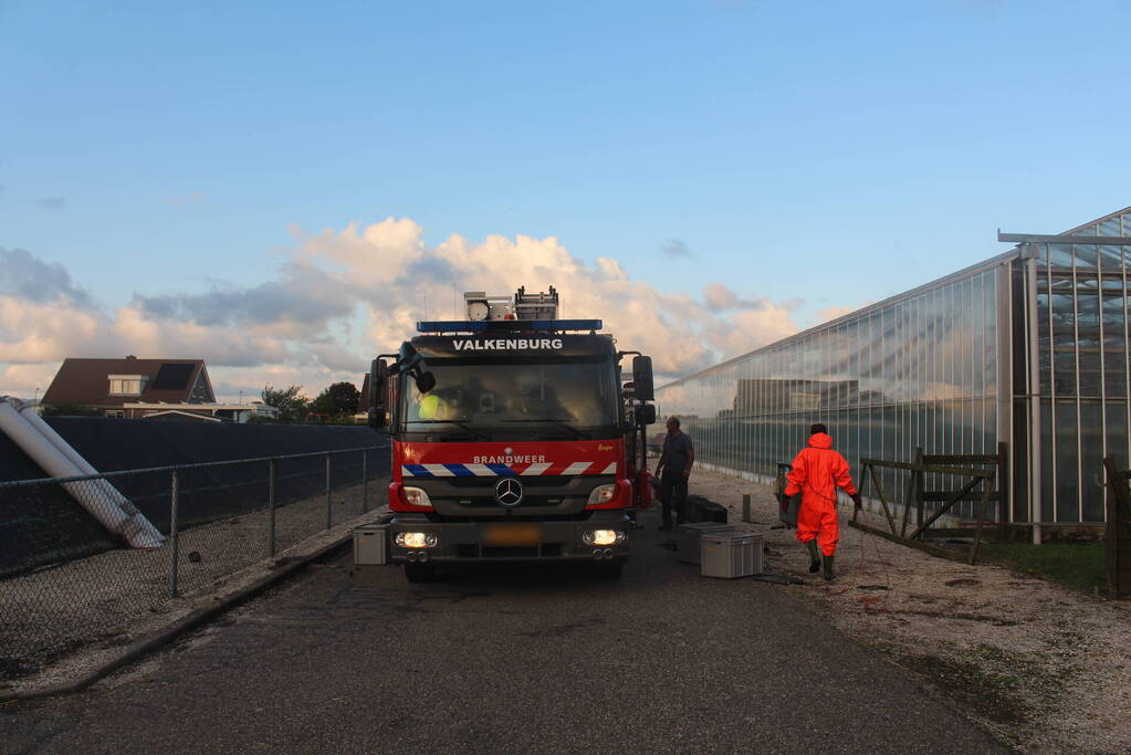 Overleden schaap aangetroffen in sloot