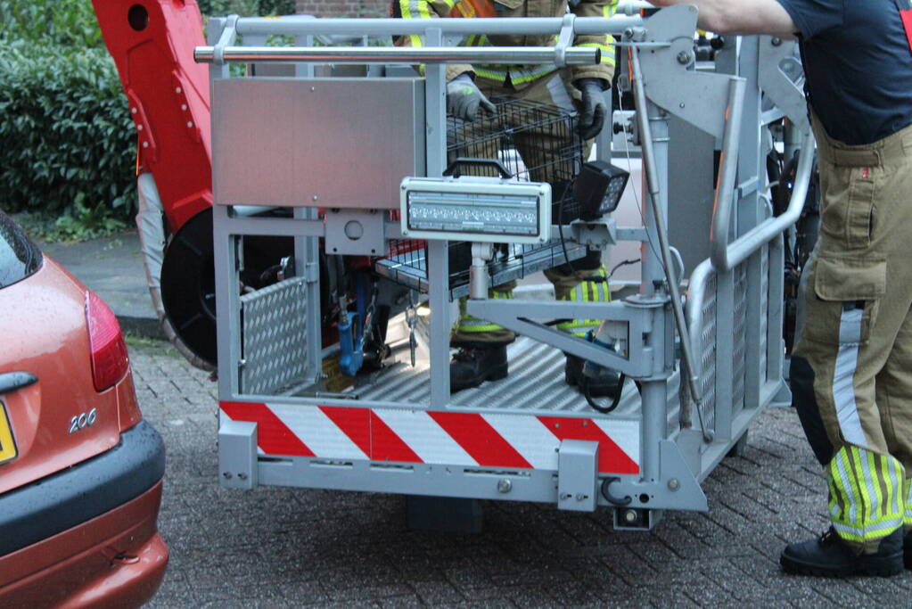 Brandweer redt kat uit boom