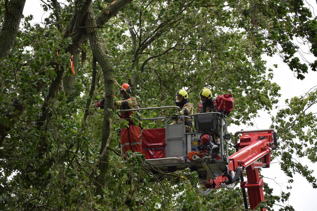 Brandweer ingezet voor afgebroken boom