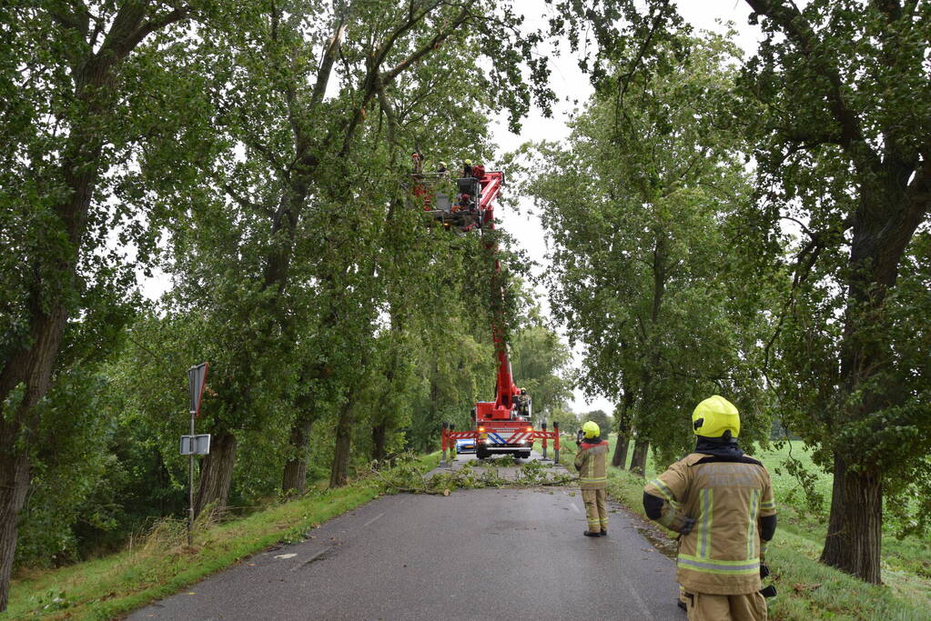 Brandweer ingezet voor afgebroken boom