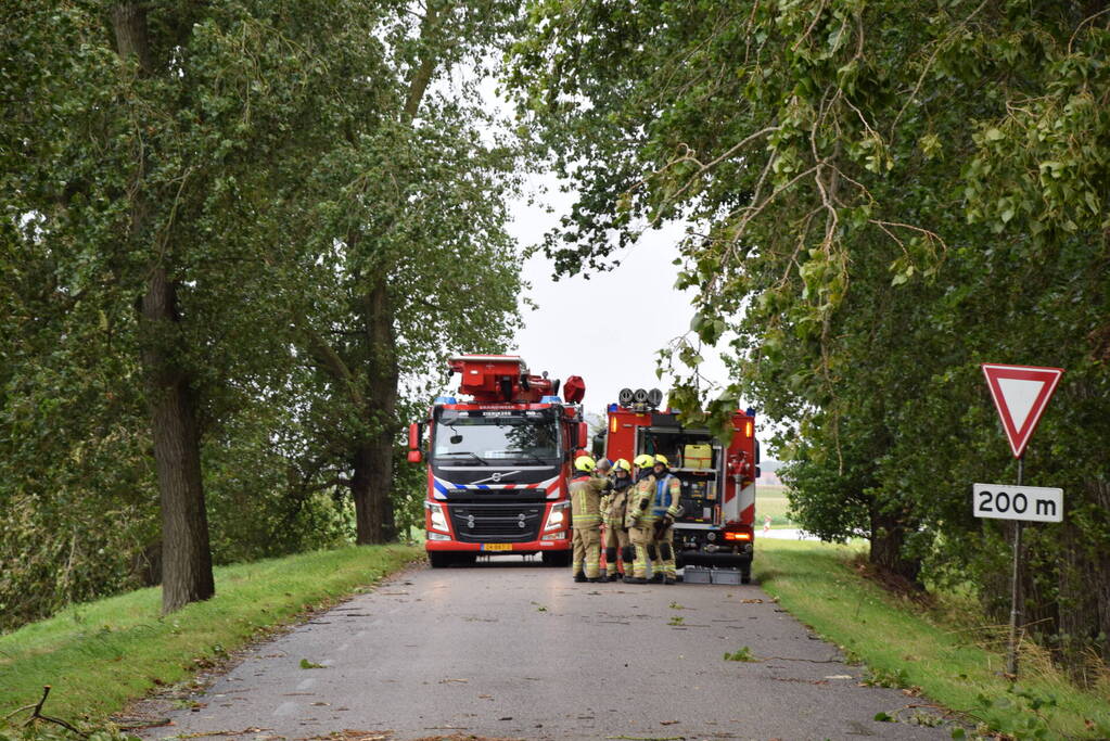 Brandweer ingezet voor afgebroken boom