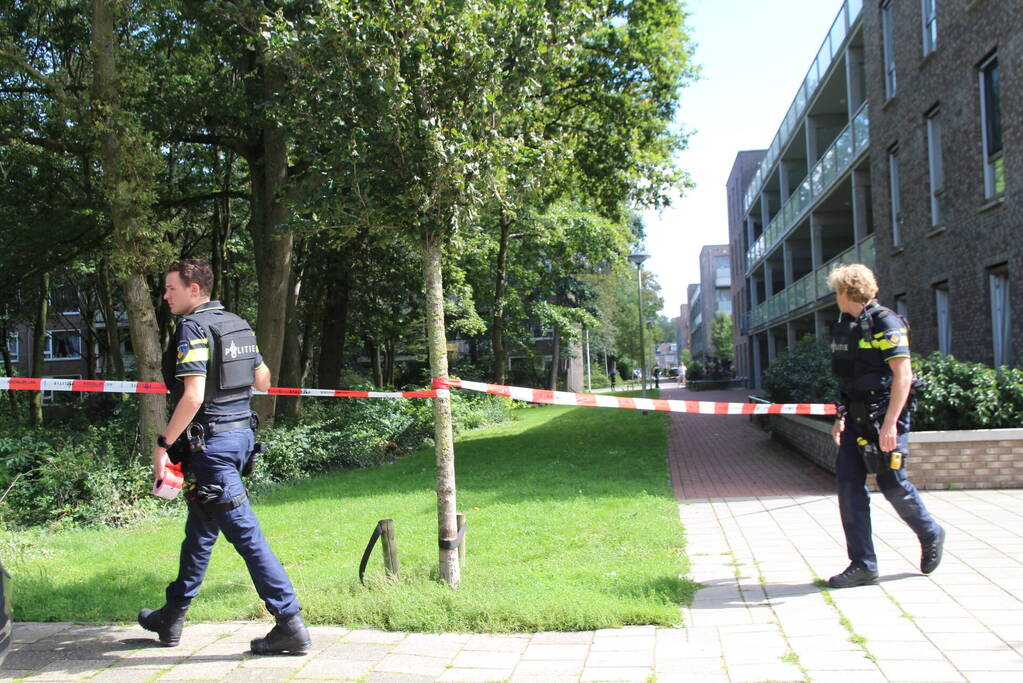 Grote politieinzet in woonwijk