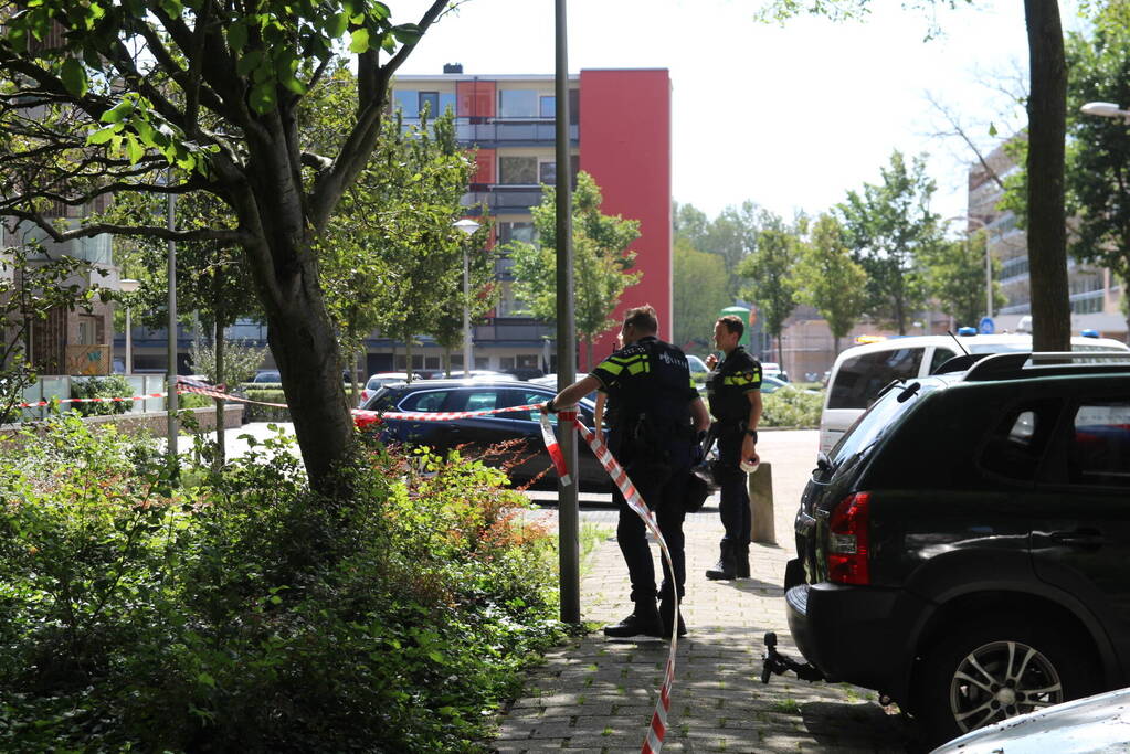 Grote politieinzet in woonwijk