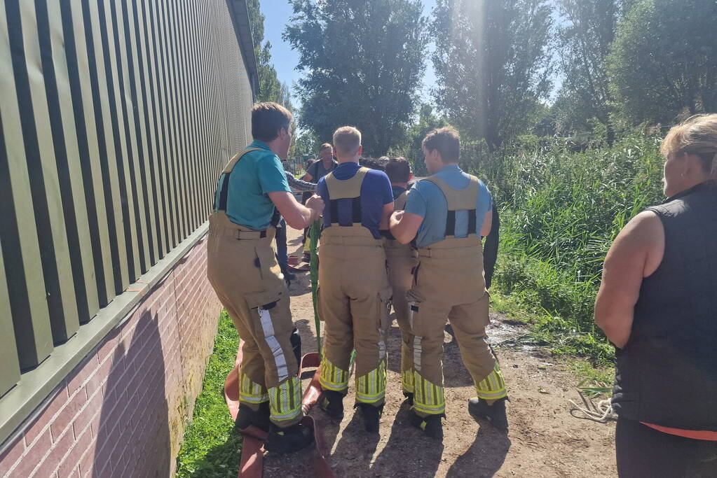 Brandweer redt paard uit sloot