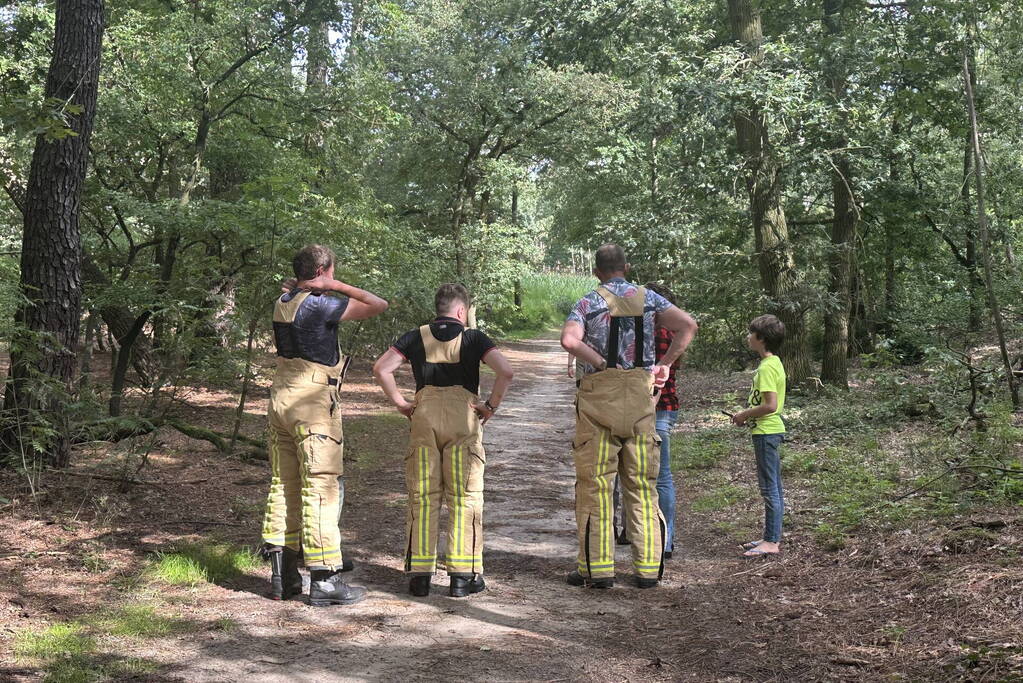 Brand in bosgebied snel onder controle