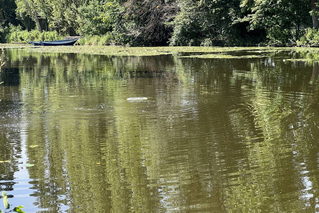 Grote zoektocht naar persoon te water
