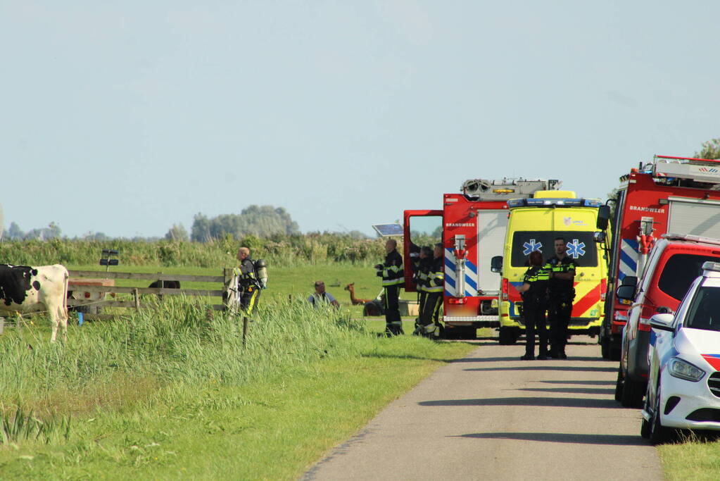 Gewonde nadat mestgassen vrijkomen in stal, drie koeien overleden