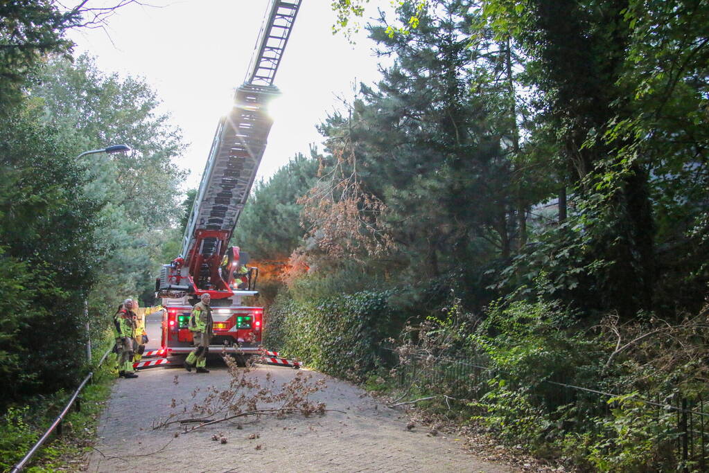 Brandweer verwijdert loshangende takken