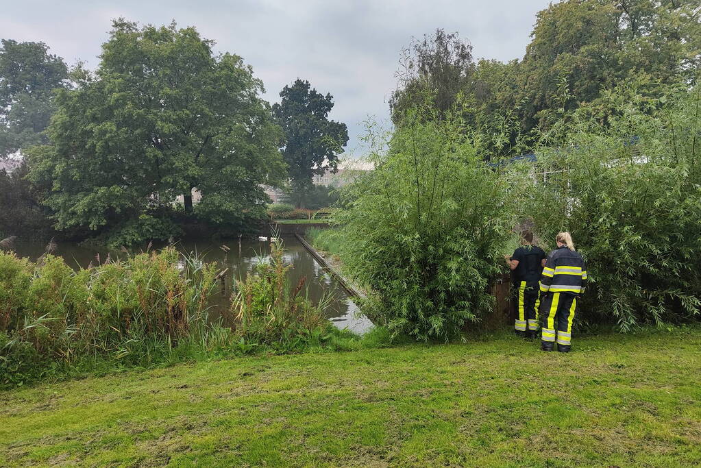 Eend raakt met snavel verstrikt in visdraad