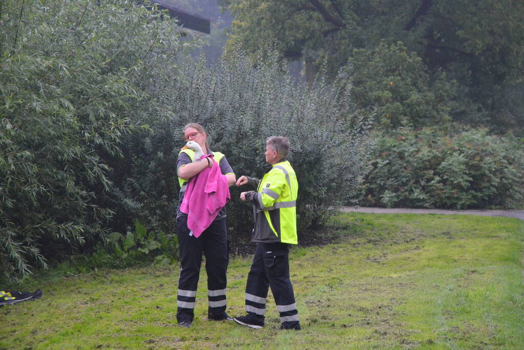 Eend raakt met snavel verstrikt in visdraad