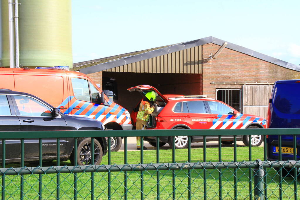 Brandweer ingezet voor dier in de problemen in koeienstal