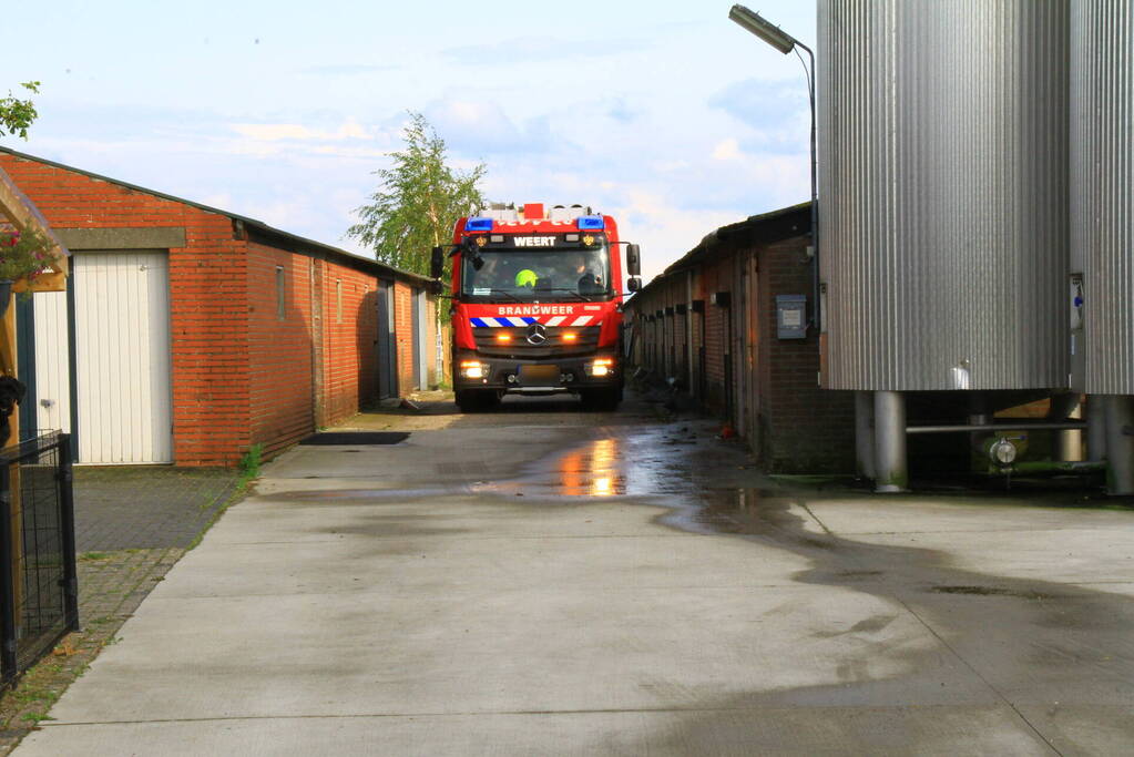 Brandweer ingezet voor dier in de problemen in koeienstal