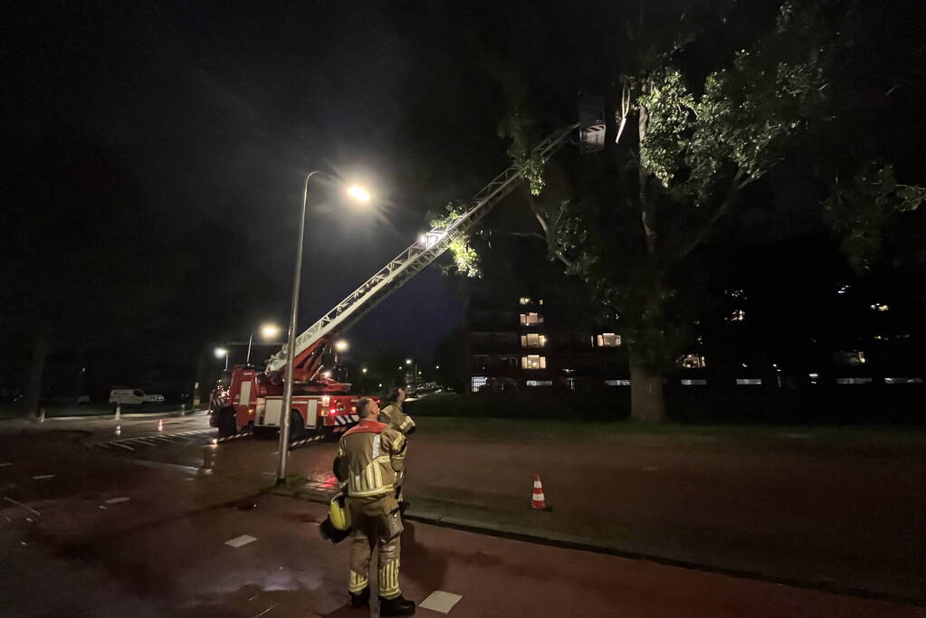 Brandweer ingezet voor loshangende takken