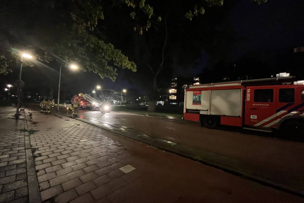 Brandweer ingezet voor loshangende takken