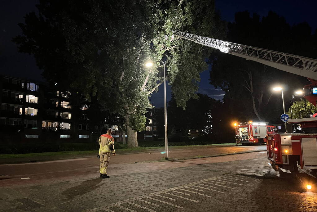 Brandweer ingezet voor loshangende takken