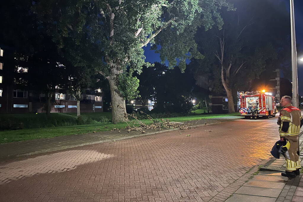 Brandweer ingezet voor loshangende takken