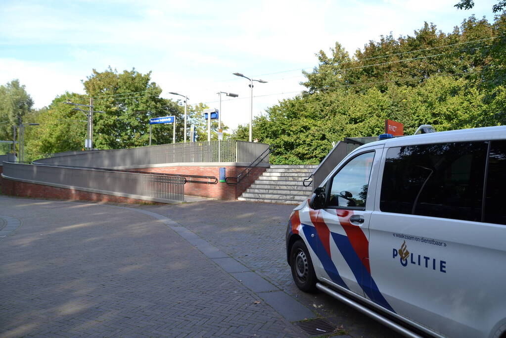 Treinverkeer stilgelegd door persoon op spoor