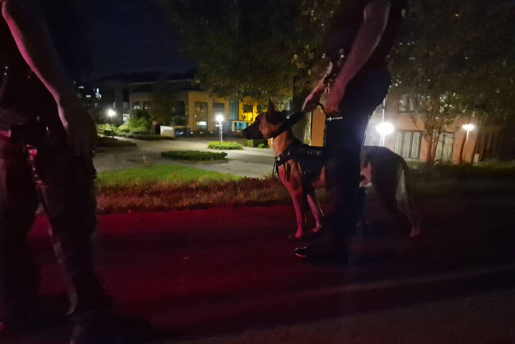 Klopjacht nadat autodief op de vlucht slaat