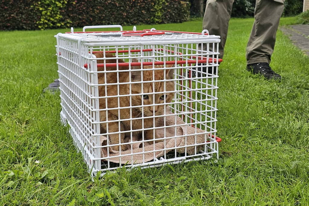 Woning in flat brandt volledig uit