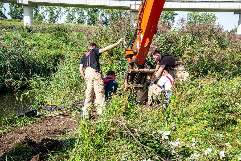 Brandweer ingezet voor paard in diepe sloot