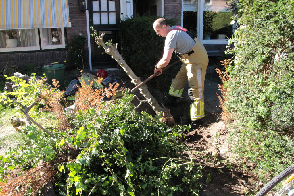 Gasleiding geraakt tijdens weghalen van boom