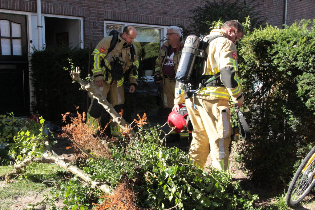 Gasleiding geraakt tijdens weghalen van boom