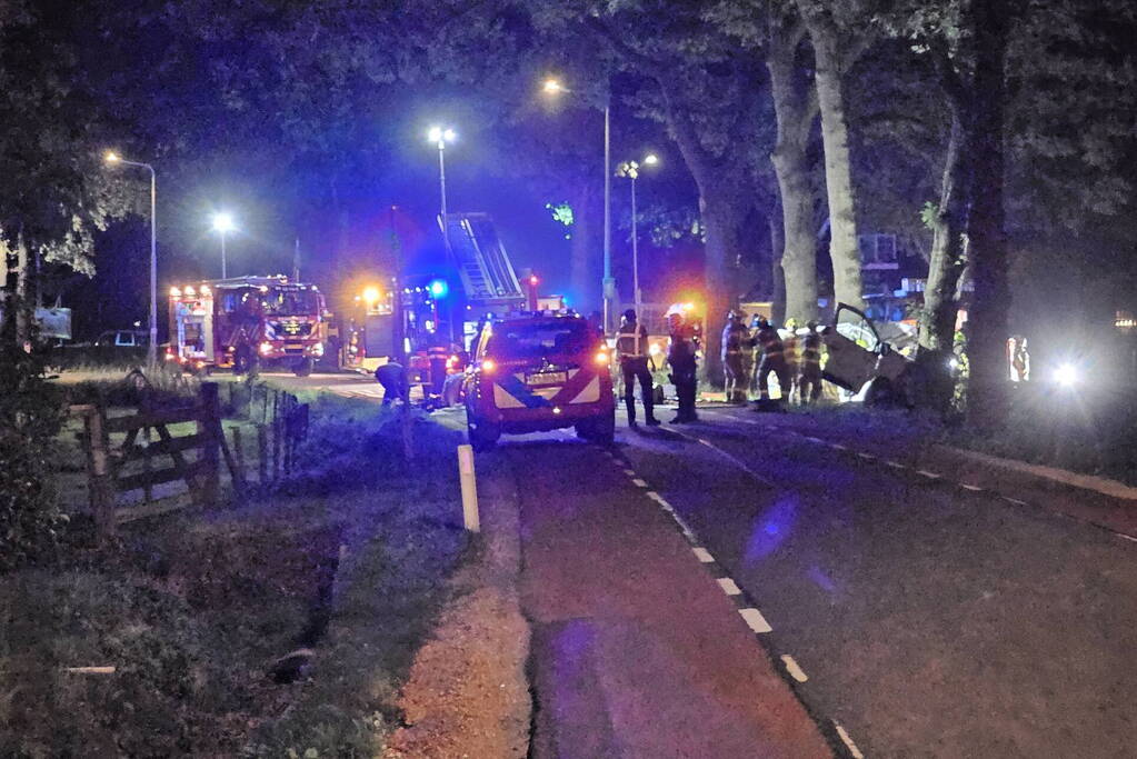 Twee doden nadat bestelbus frontaal op boom botst