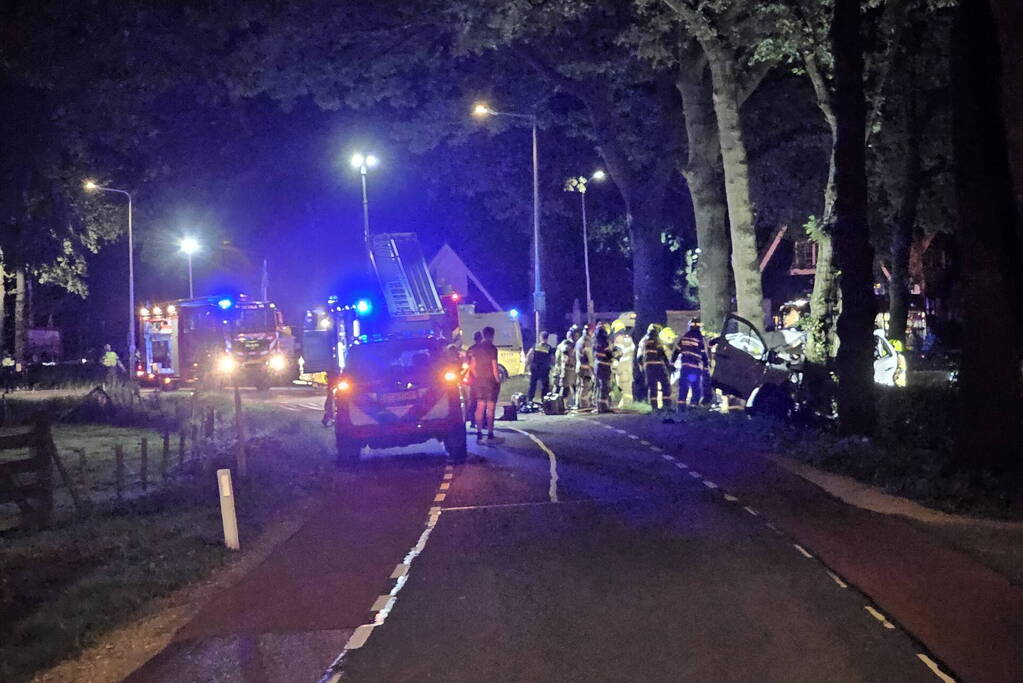 Twee doden nadat bestelbus frontaal op boom botst