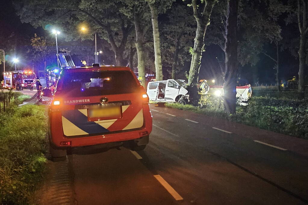 Twee doden nadat bestelbus frontaal op boom botst