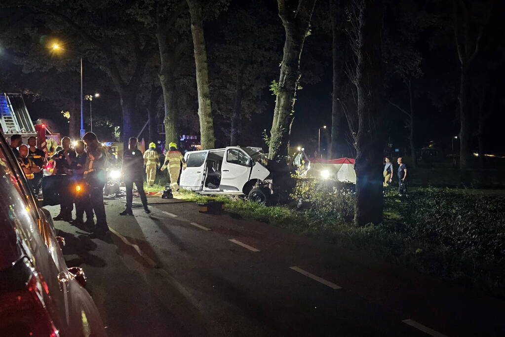 Twee doden nadat bestelbus frontaal op boom botst