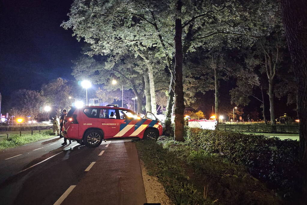 Twee doden nadat bestelbus frontaal op boom botst
