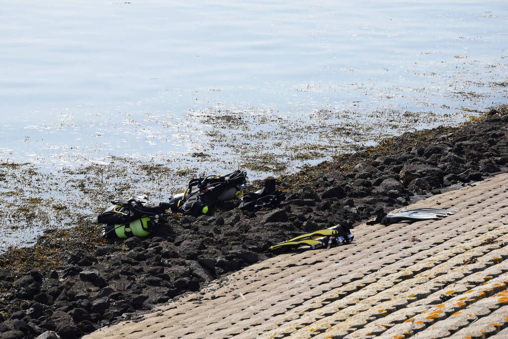 Duiker in problemen uit water gehaald